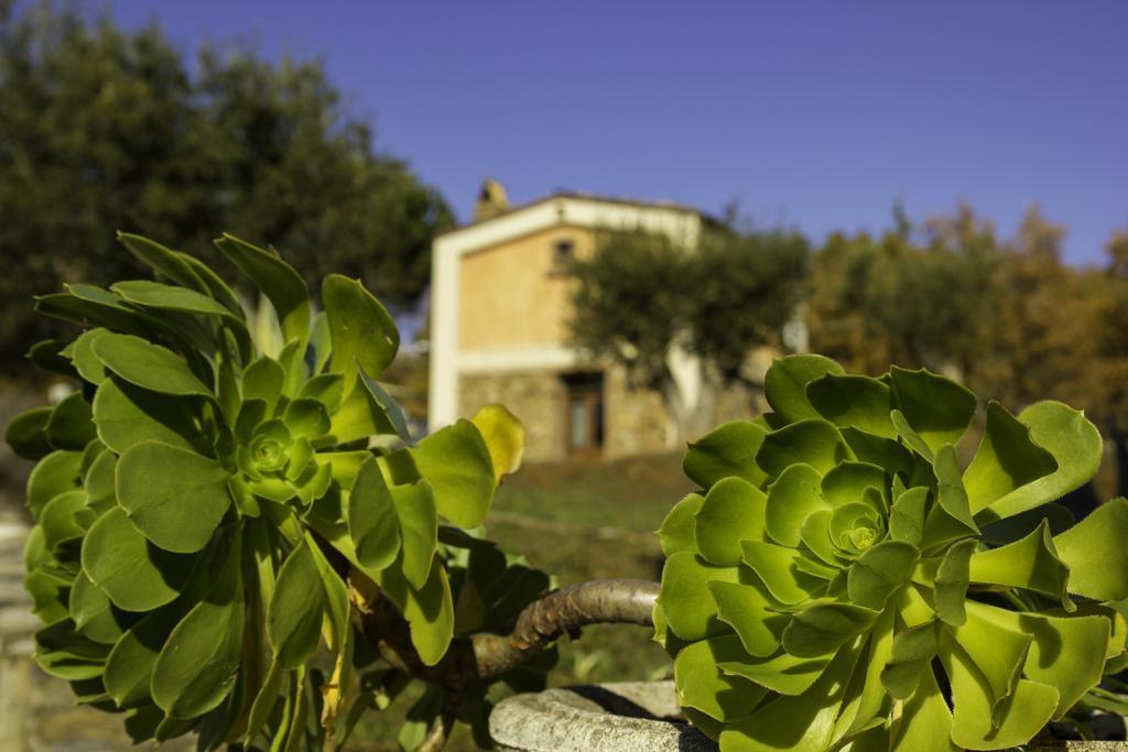 Agriturismo Masseria Fonte Di Maroglio Castrovillari Exterior photo